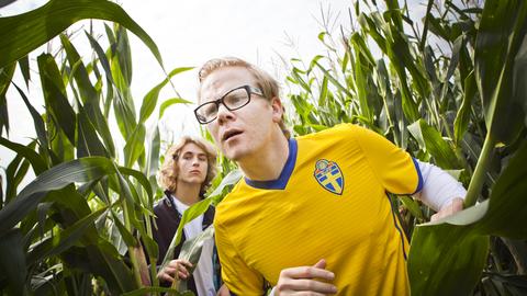 Anders i majslabyrinten