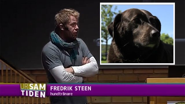 UR Samtiden - Hunden i tv : Hundcoachen bakom kulisserna
