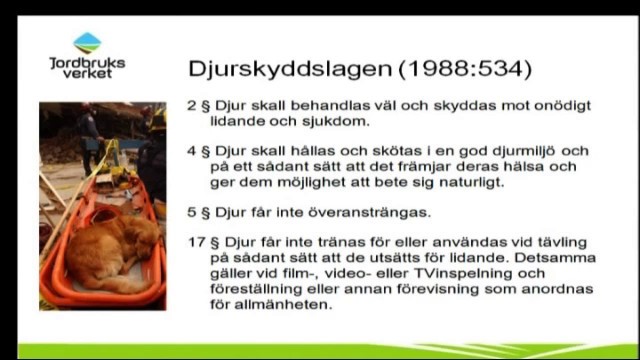 Programbild