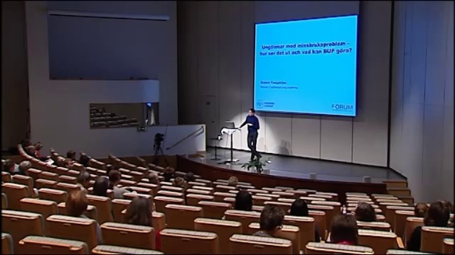 Programbild