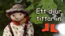 Ett djur tittar in
