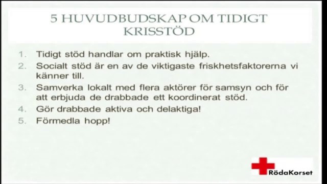 Programbild