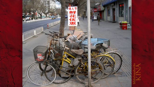 Bildningsbyrån - Kina : Peking på hjul