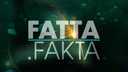 Fatta fakta