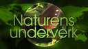 Naturens underverk