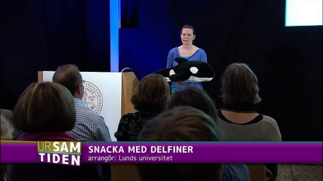 Programbild