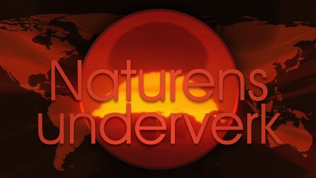 Programbild