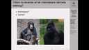 UR Samtiden - Livets ursprung och evolution