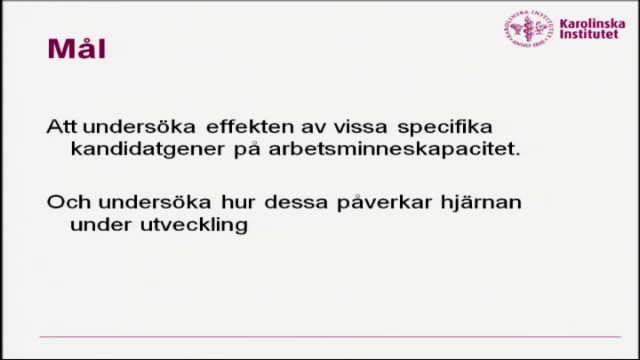 Programbild
