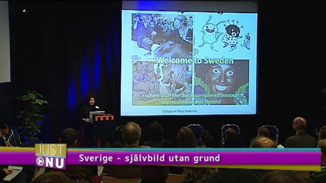 UR Samtiden - Varning för ras : Sverige - självbild utan grund