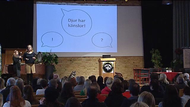 UR Samtiden - Hundar som jagar : Jaktbeteenden och belöningssystem