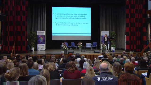 UR Samtiden - Hjärnskadeforum 2013 : Behov efter skadan