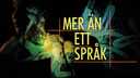 Mer än ett språk