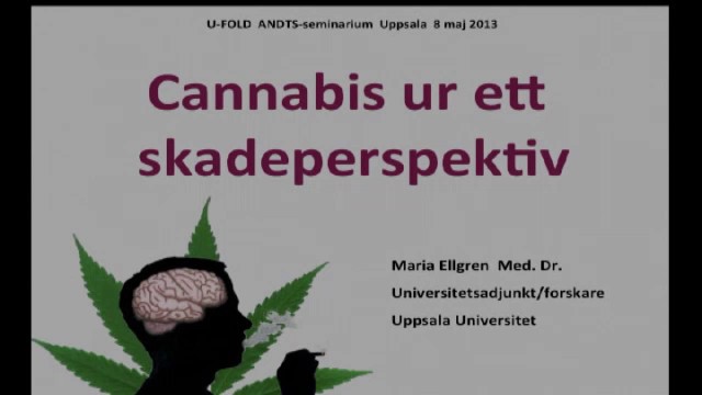 Programbild