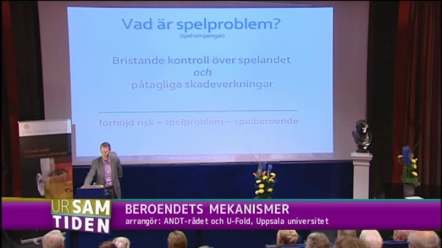 Programbild