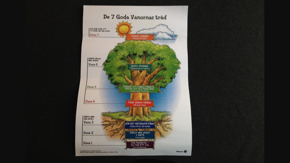 Programbild