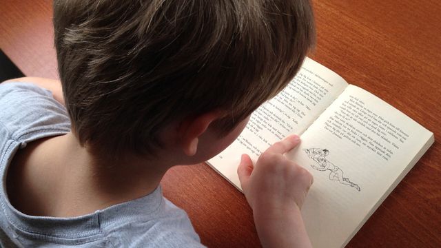 Skolministeriet : Dyslektiker utan hjälp
