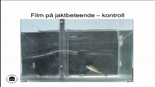 UR Samtiden - Samhällets utmaningar : Så påverkas vår miljö av läkemedel