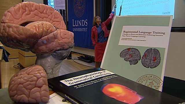 UR Samtiden - Humanist- och teologdagarna 2014 : Hjärnan växer av språk