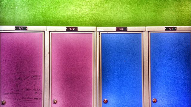 Skolministeriet : Inför valet: Den segregerade skolan