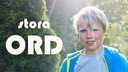 Stora ord