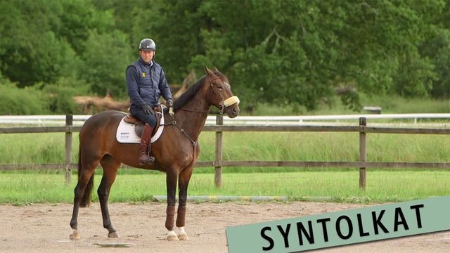 Idrottens himmel och helvete - syntolkat : De supermotiverade