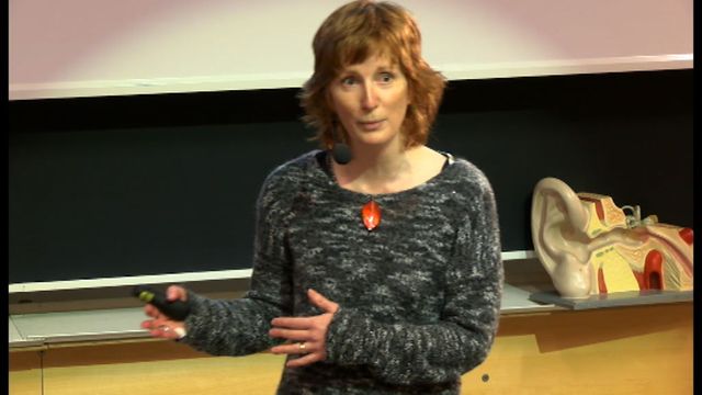 UR Samtiden - MA/NV-biennetten 2015 : Tankar kring begreppet bedömning