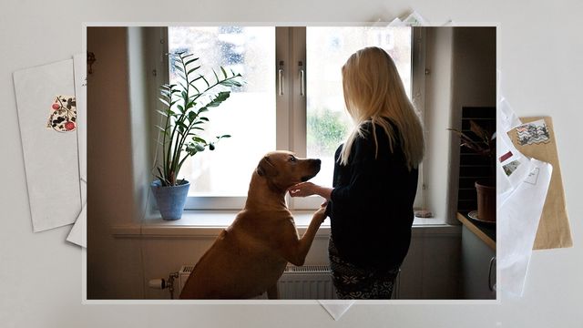 Bildningsbyrån - skuldsatt : En uppväxt utan pengar