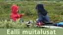 Ealli muitalusat