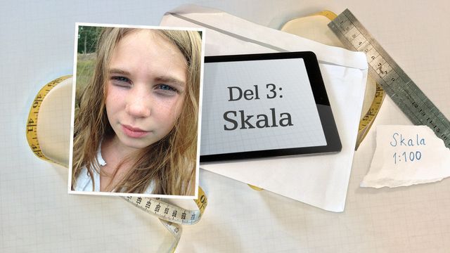 Den försvunna papegojan : Skala