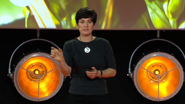 UR Samtiden - EAT 2015 : Skräp borde inte finnas