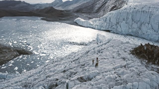 I skuggan av klimatet