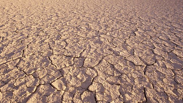 I skuggan av klimatet : Afrikas horn