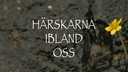 Härskarna ibland oss