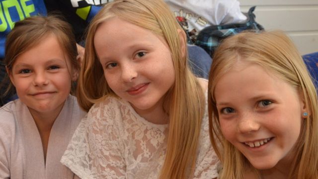 Radioskrivarklubben : Birgitta, Herrman och kärleken
