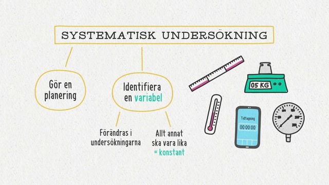 Förstå kunskapskraven : Frågeställningar för systematiska undersökningar
