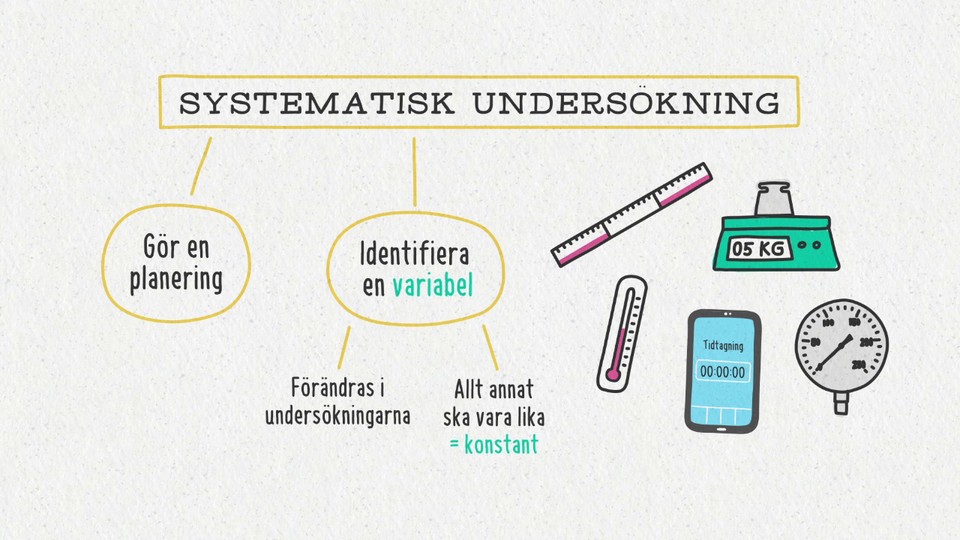 Programbild