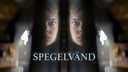 Spegelvänd