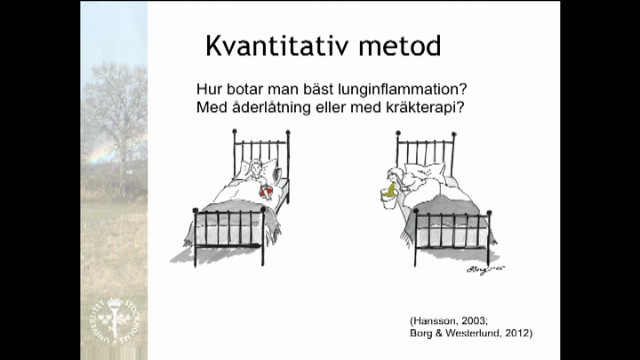 Programbild
