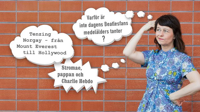 Pop och politik : Identifikation
