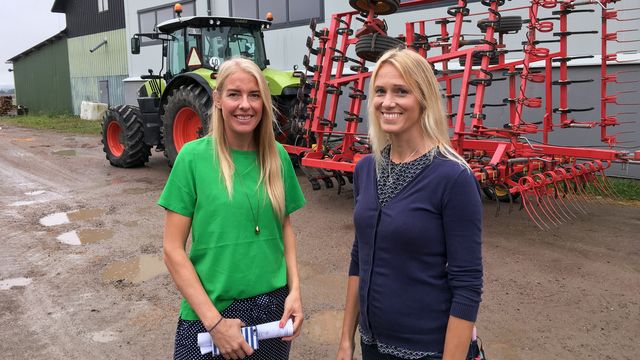 Lärarrummet : Mentor på heltid
