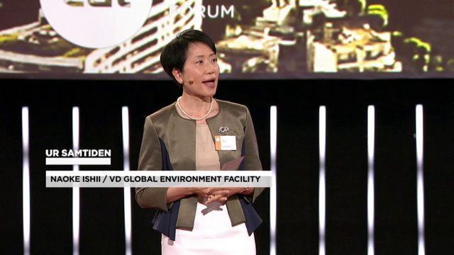 UR Samtiden - EAT 2016 : Staden är klimatboven
