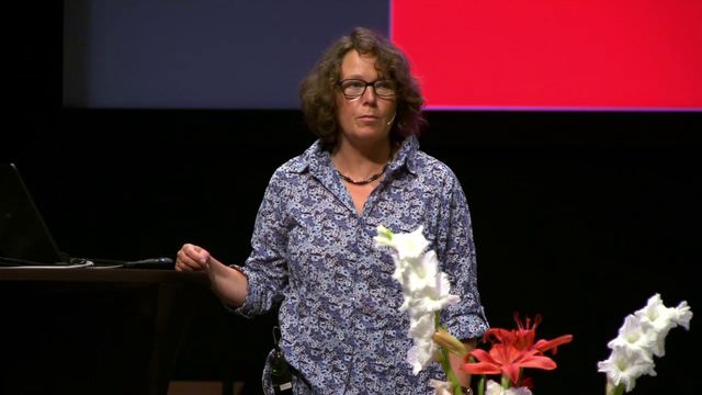 UR Samtiden - Släktforskardagarna 2016 : Släktforskning i norska källor