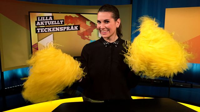 Lilla Aktuellt teckenspråk : 2017-03-17