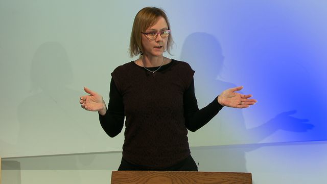UR Samtiden - Hippocampusdagen 2016 : Hur dåligt ser hästarna egentligen?