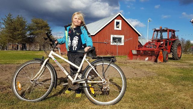 Barnaministeriet dokumentär : Var ska Joel bo, i Stockholm eller Tornedalen?