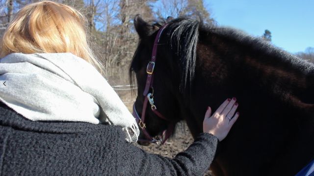 Barnaministeriet dokumentär : Krigarprinsessorna