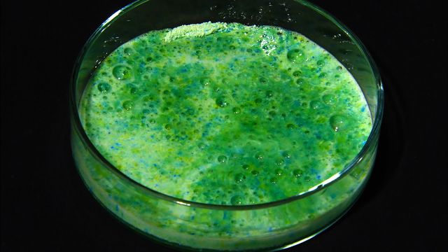 Gigantiska experiment : Hårdkokt utmaning