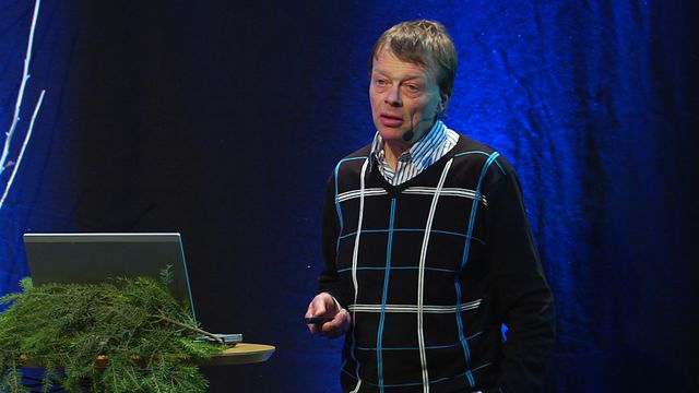 UR Samtiden - Fascinerande växter : Framtidens skogsgenetik