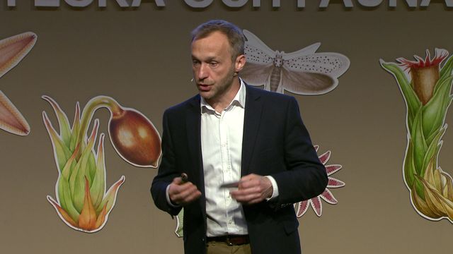 UR Samtiden - Flora- och faunavård 2017 : De finns i Artfakta